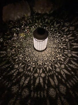 世羅高原農場に投稿された画像（2024/11/30）