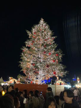 Christmas Market in 横浜赤レンガ倉庫 2025に投稿された画像（2024/11/30）