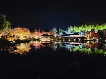 国営昭和記念公園 秋の夜散歩に投稿された画像（2024/11/30）