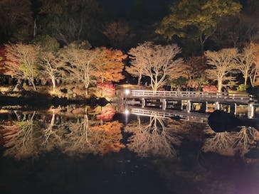 国営昭和記念公園 秋の夜散歩に投稿された画像（2024/11/30）