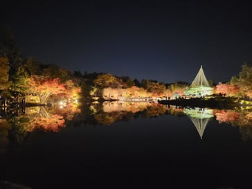 国営昭和記念公園 秋の夜散歩に投稿された画像（2024/11/30）