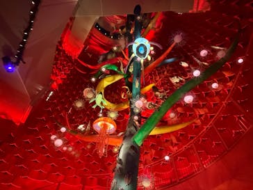 万博記念公園に投稿された画像（2024/11/30）