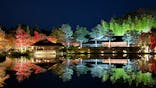国営昭和記念公園 秋の夜散歩に投稿された画像（2024/11/30）
