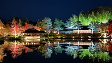 国営昭和記念公園 秋の夜散歩に投稿された画像（2024/11/30）