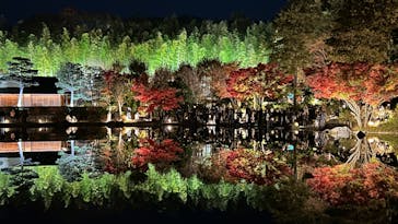 国営昭和記念公園 秋の夜散歩に投稿された画像（2024/11/30）