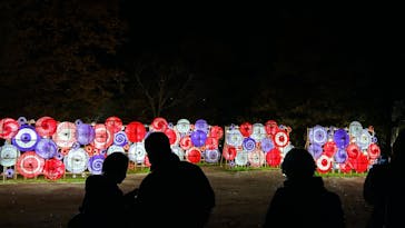 国営昭和記念公園 秋の夜散歩に投稿された画像（2024/11/30）
