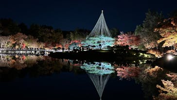 国営昭和記念公園 秋の夜散歩に投稿された画像（2024/11/30）