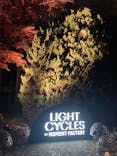 京都府立植物園　LIGHT CYCLES KYOTOに投稿された画像（2024/11/30）