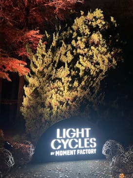 京都府立植物園　LIGHT CYCLES KYOTOに投稿された画像（2024/11/30）