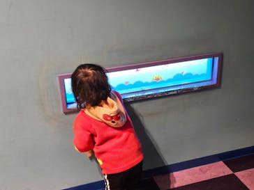 神戸アンパンマンこどもミュージアム＆モールに投稿された画像（2024/11/30）