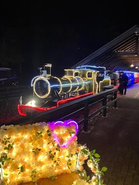 修善寺虹の郷に投稿された画像（2024/11/30）