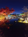 国営昭和記念公園 秋の夜散歩に投稿された画像（2024/11/30）