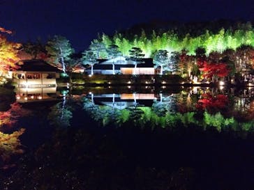 国営昭和記念公園 秋の夜散歩に投稿された画像（2024/11/30）