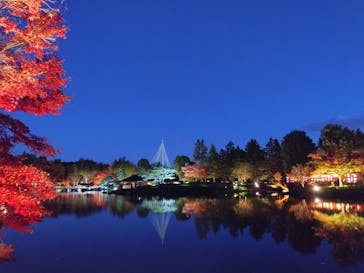 国営昭和記念公園 秋の夜散歩に投稿された画像（2024/11/30）
