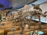 福井県立恐竜博物館に投稿された画像（2024/11/30）