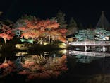 国営昭和記念公園 秋の夜散歩に投稿された画像（2024/11/30）