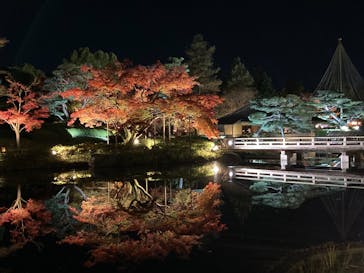 国営昭和記念公園 秋の夜散歩に投稿された画像（2024/11/30）