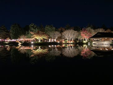 国営昭和記念公園 秋の夜散歩に投稿された画像（2024/11/30）