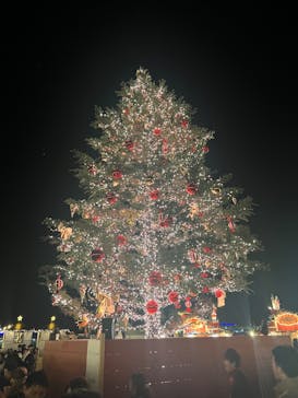 Christmas Market in 横浜赤レンガ倉庫 2025に投稿された画像（2024/11/30）