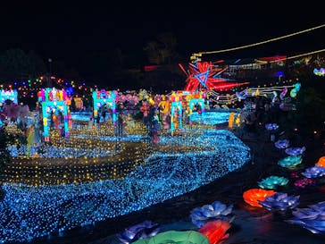 伊豆高原グランイルミに投稿された画像（2024/11/30）