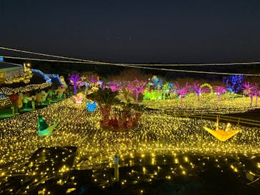 伊豆高原グランイルミに投稿された画像（2024/11/30）