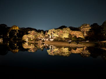 六義園に投稿された画像（2024/11/30）