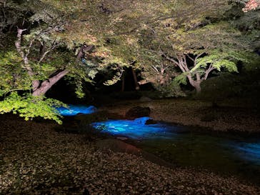 六義園に投稿された画像（2024/11/30）