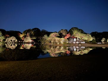 六義園に投稿された画像（2024/11/30）