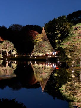 六義園に投稿された画像（2024/11/30）