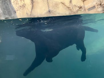 名古屋市東山動植物園に投稿された画像（2024/11/30）