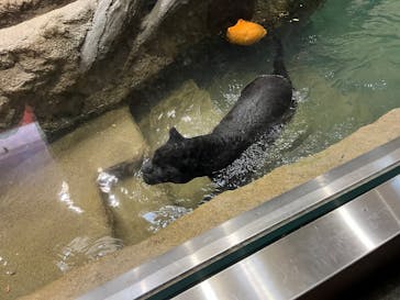 名古屋市東山動植物園に投稿された画像（2024/11/30）