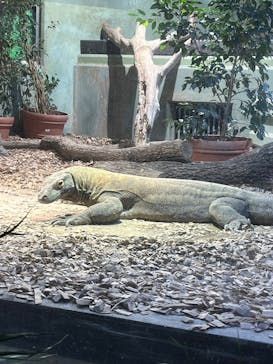 名古屋市東山動植物園に投稿された画像（2024/11/30）