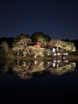 六義園に投稿された画像（2024/11/30）