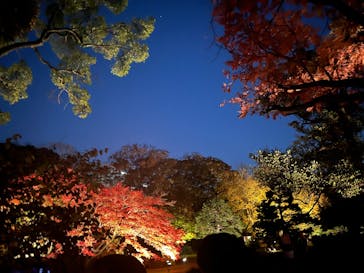 六義園に投稿された画像（2024/11/30）