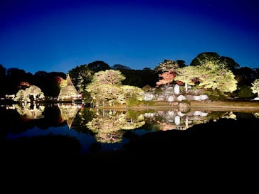 六義園に投稿された画像（2024/11/30）