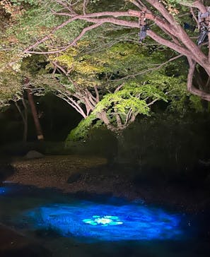 六義園に投稿された画像（2024/11/30）