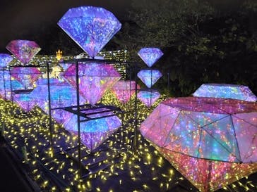 伊豆高原グランイルミに投稿された画像（2024/11/30）