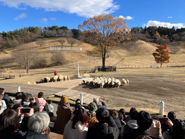 伊香保グリーン牧場に投稿された画像（2024/11/30）