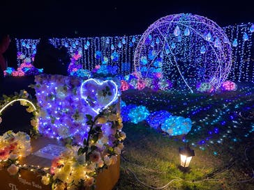 修善寺虹の郷に投稿された画像（2024/11/30）