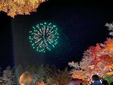 修善寺虹の郷に投稿された画像（2024/11/30）