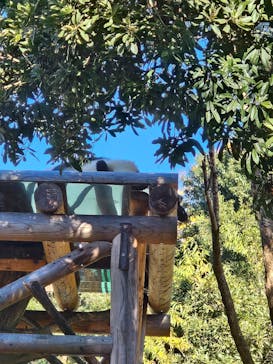 恩賜上野動物園に投稿された画像（2024/11/30）