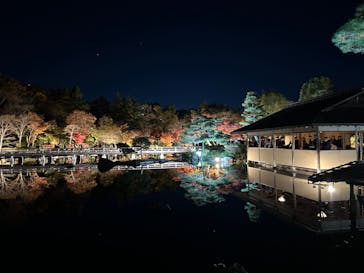 国営昭和記念公園 秋の夜散歩に投稿された画像（2024/11/30）