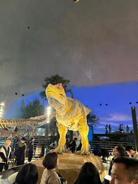 福井県立恐竜博物館に投稿された画像（2024/11/30）