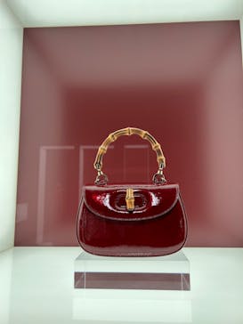 GUCCI COSMOSに投稿された画像（2024/11/30）