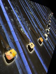 GUCCI COSMOSに投稿された画像（2024/11/30）