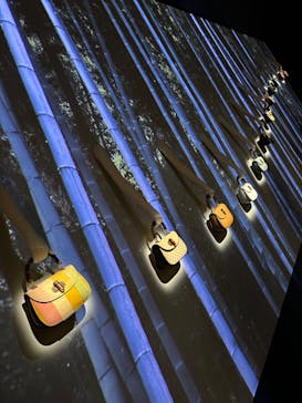 GUCCI COSMOSに投稿された画像（2024/11/30）