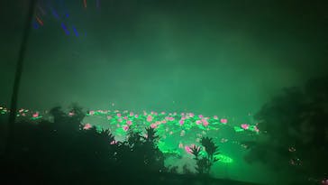 美らヤシパークオキナワ・東南植物楽園に投稿された画像（2024/11/30）