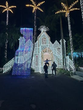 美らヤシパークオキナワ・東南植物楽園に投稿された画像（2024/11/30）