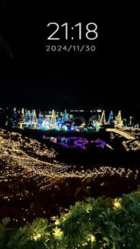 美らヤシパークオキナワ・東南植物楽園に投稿された画像（2024/11/30）