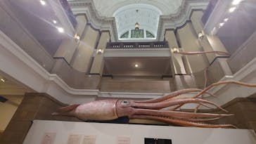 国立科学博物館に投稿された画像（2024/11/30）